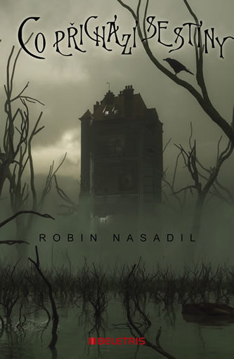 Co přichází se stíny (Robin Nasadil, 2017)
