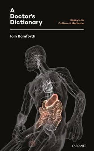 A Doctor's Dictionary: Writings on Culture and Medicine
