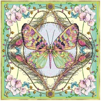 Karnet kwadrat z kopertą Butterfly & Orchids