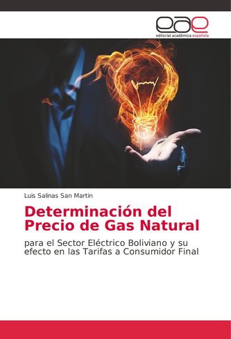 Determinación del Precio de Gas Natural Determinación del Precio de Gas Natural