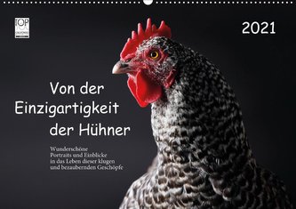 Von der Einzigartigkeit der Hühner 2021 (Wandkalender 2021 DIN A2 quer)