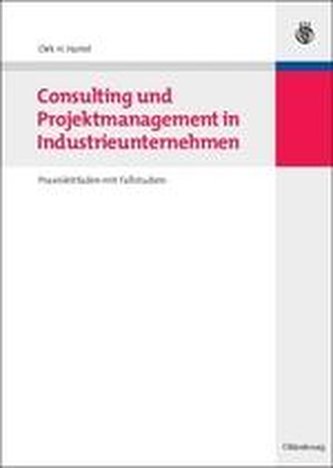 Consulting und Projektmanagement in Industrieunternehmen