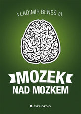 Mozek nad mozkem