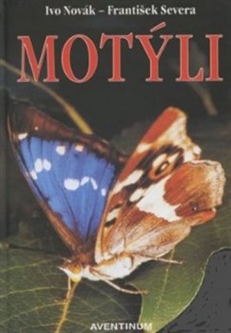 Motýli - Ivo Novák