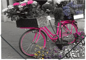 Deska s gumičkou "Bike", 15 mm, PP, A4, PANTA PLAST