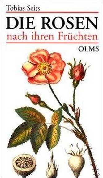 Die Rosen nach ihren Fruechten