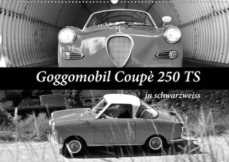 Goggomobil Coupè 250 TS in schwarzweiss (Wandkalender 2021 DIN A2 quer)