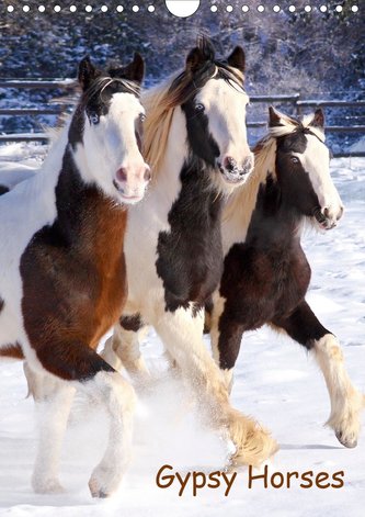 Gypsy's (Wandkalender 2021 DIN A4 hoch)