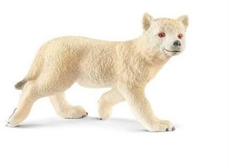 Młody Wilk Arktyczny