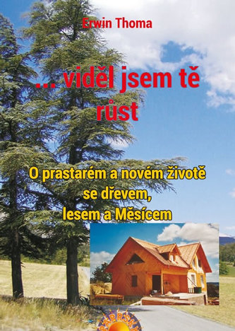 ...viděl jsem tě růst