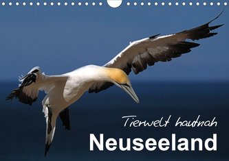 Neuseeland - Tierwelt hautnah (Wandkalender 2021 DIN A4 quer)