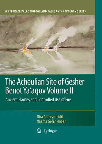 The Acheulian Site of Gesher Benot Ya'agov Volume II
