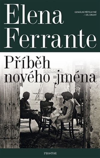 Geniální přítelkyně : Příběh nového jména : mládí - Díl druhý (Elena Ferrante, 2017)