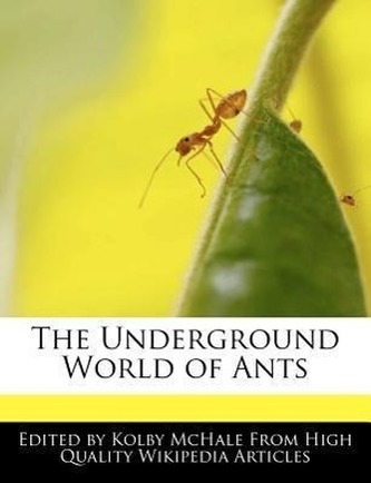 The Underground World of Ants