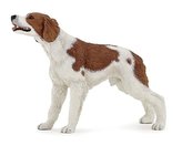 Anglický špringeršpaněl