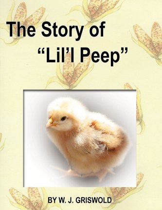 The Story of \"Lil'l Peep\"