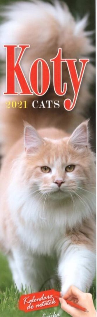 Kalendarz 2021 KP-2 Koty AVANTI