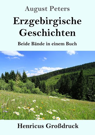 Erzgebirgische Geschichten (Großdruck)