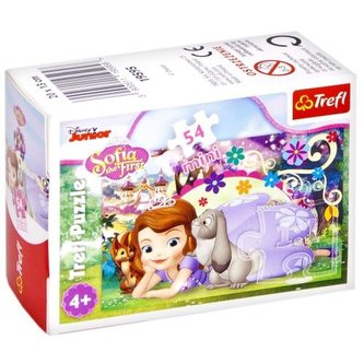 Puzzle 54 mini Magiczny świat księżniczki 4 TREFL