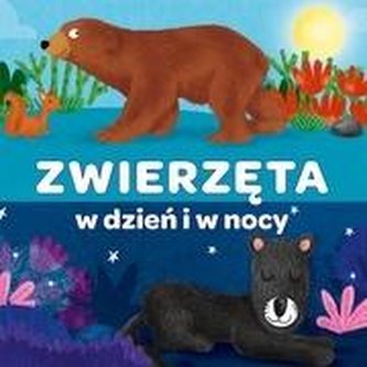 Kapitan Nauka. Harmonijka. Zwierzęta w dzień i w.. Kapitan Nauka. Harmonijka. Zwierzęta w dzień i w..