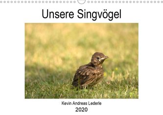Unsere Singvögel (Wandkalender 2020 DIN A3 quer)