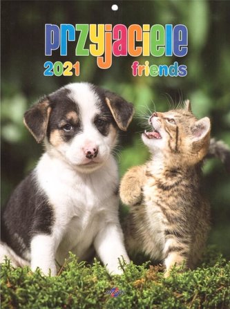 Kalendarz 2021 KSM-7 Przyjaciele AVANTI