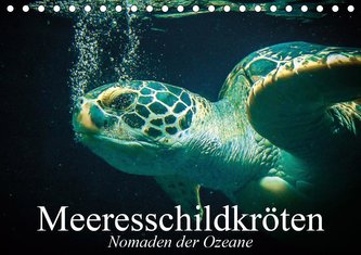Meeresschildkröten. Nomaden der Ozeane (Tischkalender 2021 DIN A5 quer)