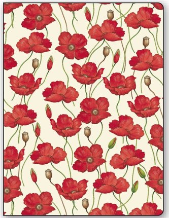 Teczka na dokumenty FF 583B ROSSI