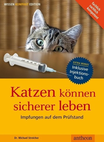 Katzen können sicherer leben
