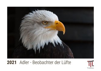 Adler - Beobachter der Lüfte 2021 - Timokrates Kalender, Tischkalender, Bildkalender - DIN A5 (21 x 15 cm)