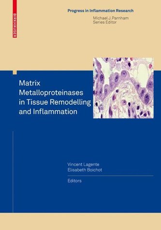 Matrix Metalloproteinases in Tissue Remodelling and Inflammation Matrix Metalloproteinases in Tissue Remodelling and Inflammation