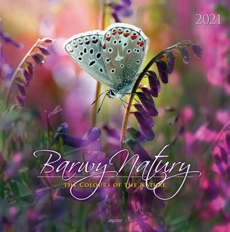 Kalendarz 2021 KD-9 Barwy natury AVANTI