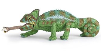 Chameleon