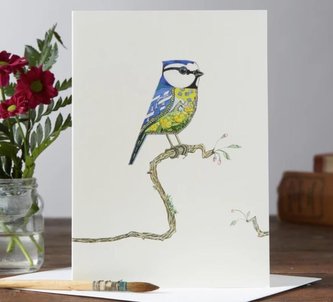 Karnet A047 B6 + koperta Ptak modraszka