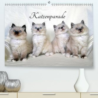 Katzenparade (Premium, hochwertiger DIN A2 Wandkalender 2021, Kunstdruck in Hochglanz)