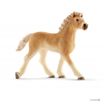 Źrebię rasy Haflinger Źrebię rasy Haflinger