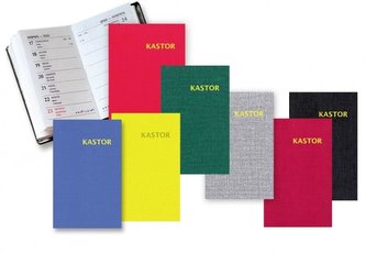 Terminarz 2021 Kieszonkowy MIX KASTOR