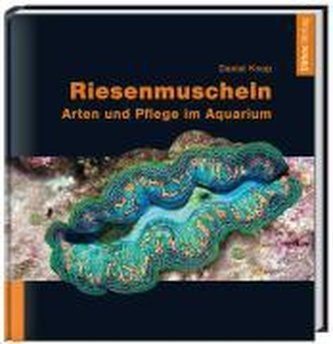Riesenmuscheln