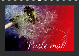 Puste mal! (Wandkalender 2021 DIN A2 quer)
