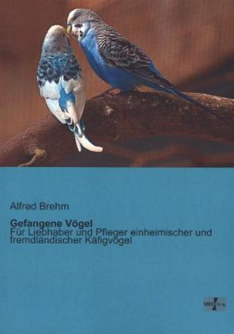 Gefangene Vögel Gefangene Vögel
