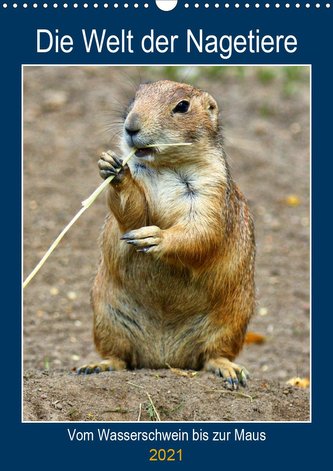 Die Welt der Nagetiere (Wandkalender 2021 DIN A3 hoch)