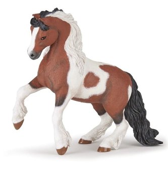 Kůň Irish cob Kůň Irish cob