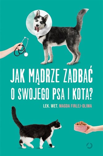 Jak mądrze zadbać o swojego psa i kota? Jak mądrze zadbać o swojego psa i kota?