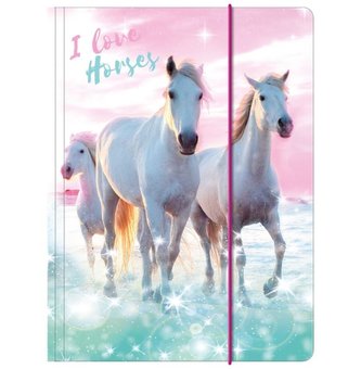 Teczka z gumką A4 Konie 22 DERFORM