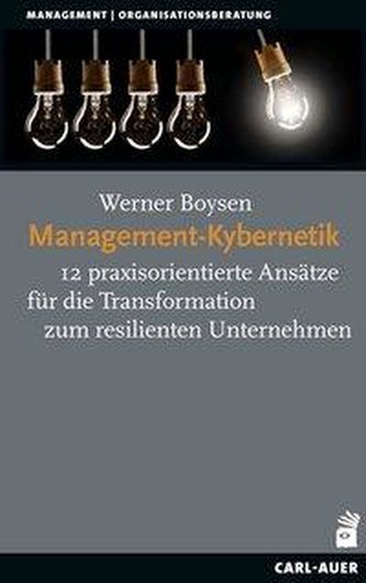 Management-Kybernetik
