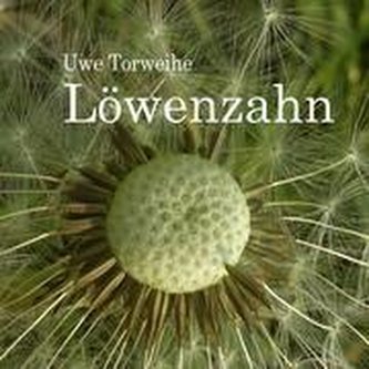 Löwenzahn Löwenzahn