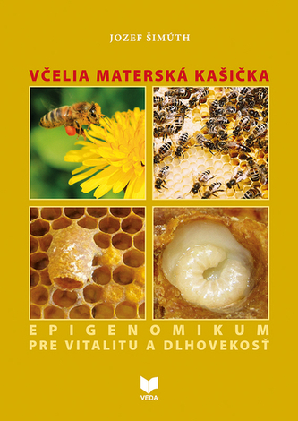 Včelia materská kašička Včelia materská kašička