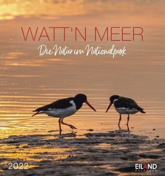 Watt'n Meer... Die Natur an der Küste 2022