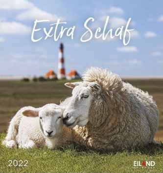 Extra Schaf 2022 - Postkartenkalender