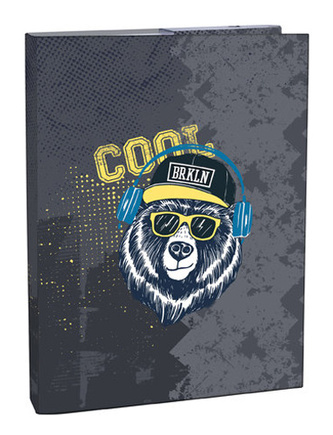 Box na sešity A4 Cool bear STIL